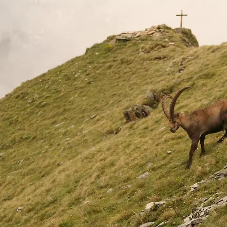 Bei Max - Garni Kirchenwirt Guest house Sankt Leonhard im Pitztal