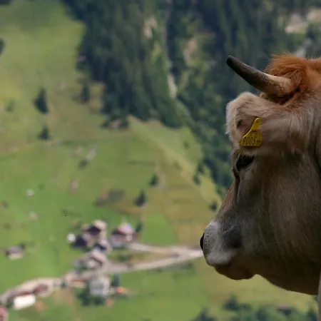 Pensjonat Bei Max - Garni Kirchenwirt St. Leonhard im Pitztal
