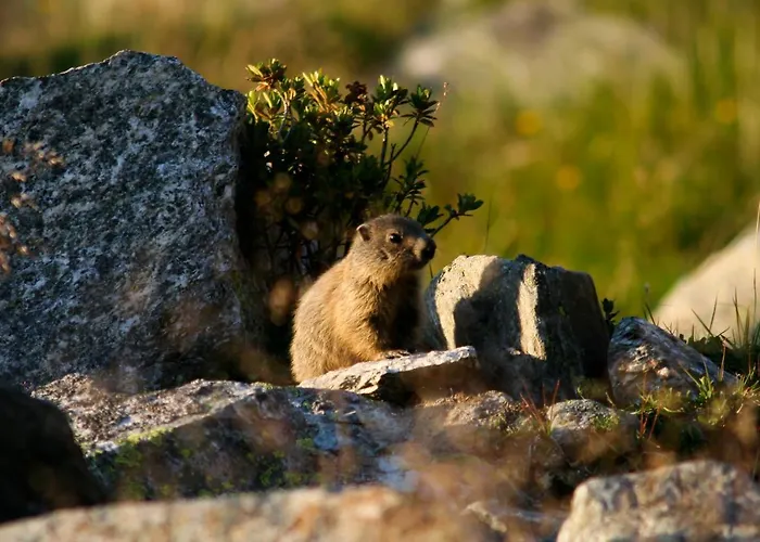 Vendégház Bei Max - Garni Kirchenwirt Sankt Leonhard im Pitztal